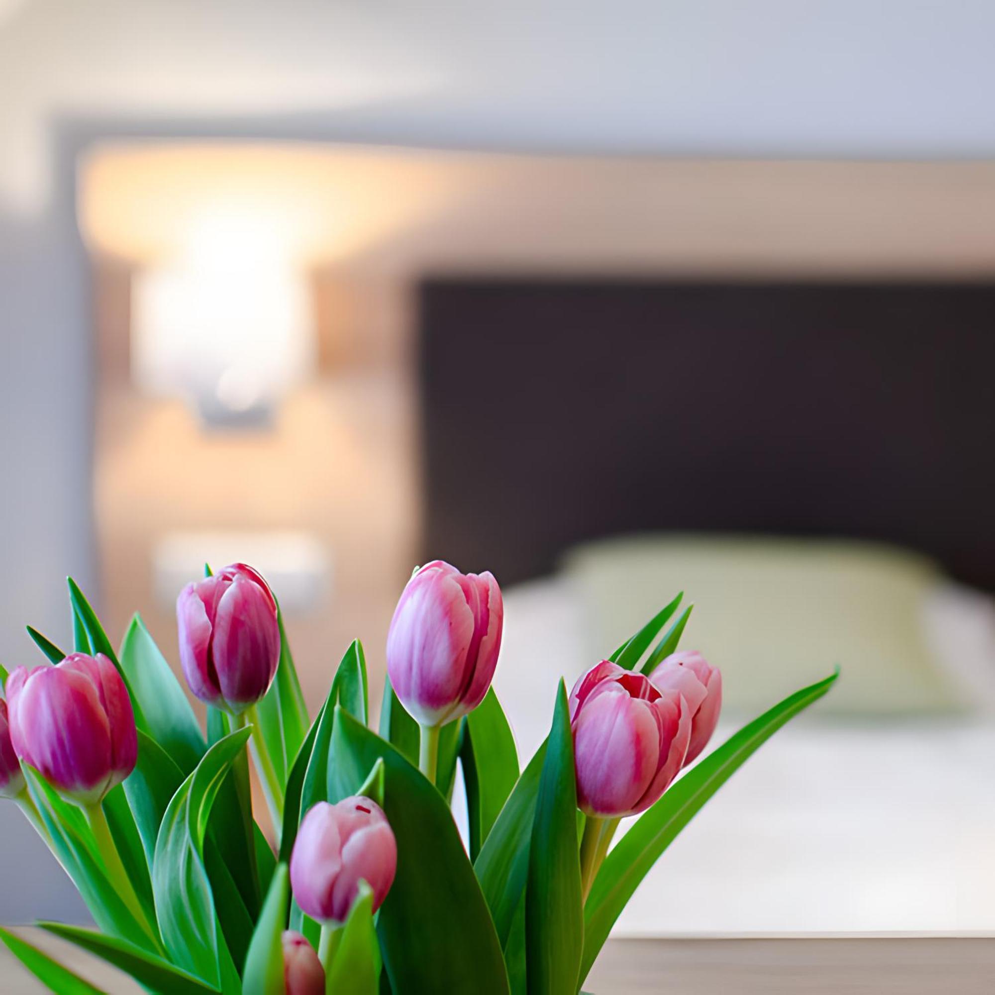 Appartements 'In Vino Veritas' Haslach im Kinzigtal Dış mekan fotoğraf