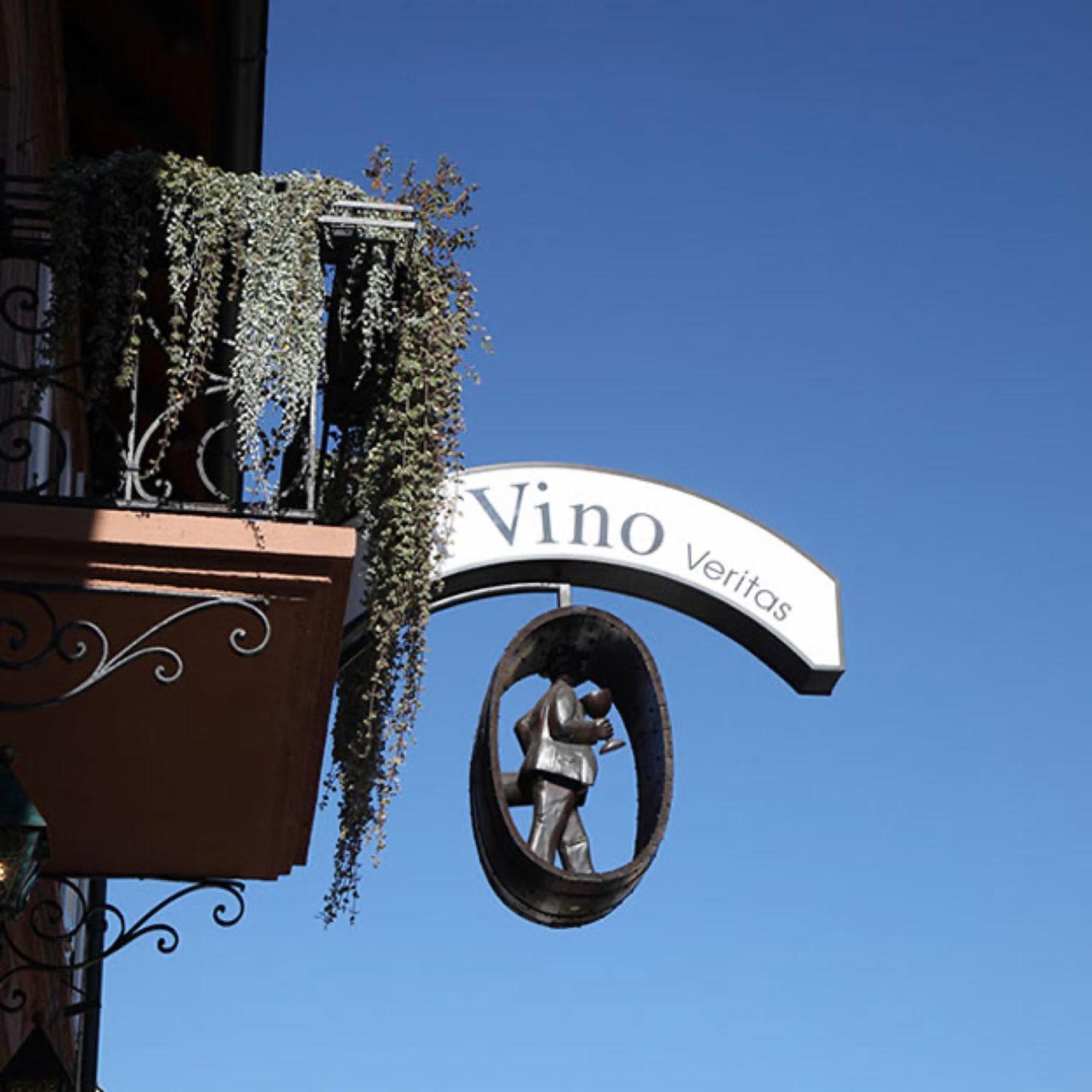 Appartements 'In Vino Veritas' Haslach im Kinzigtal Dış mekan fotoğraf
