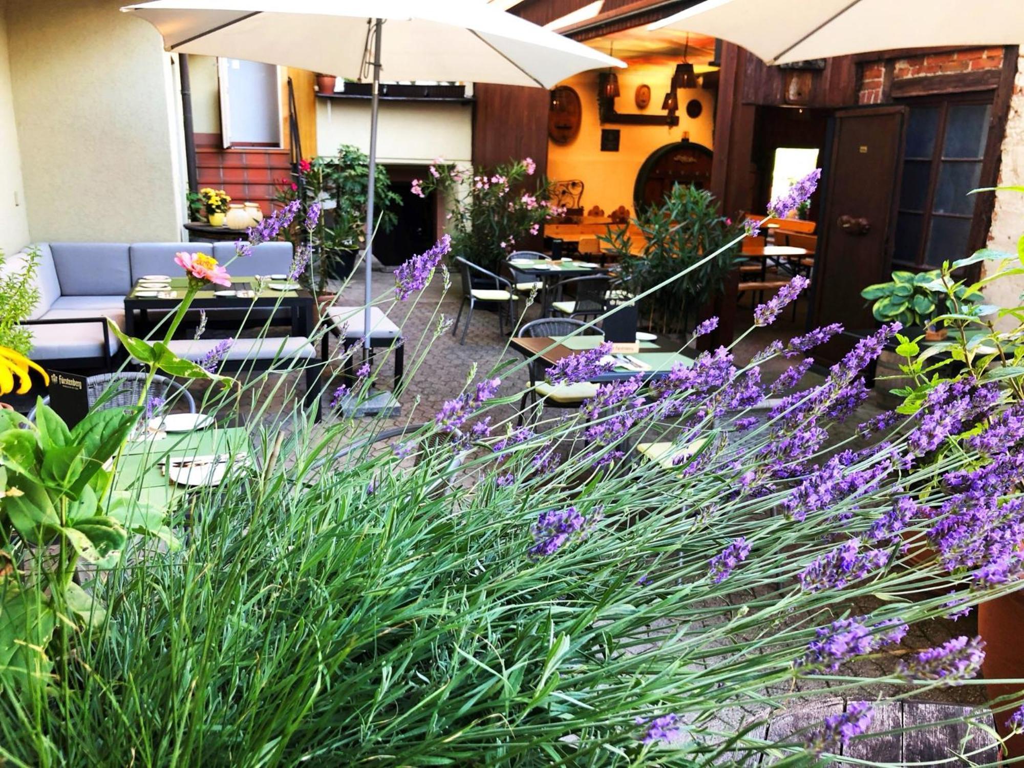 Appartements 'In Vino Veritas' Haslach im Kinzigtal Dış mekan fotoğraf